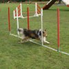 agility 2011-10-30